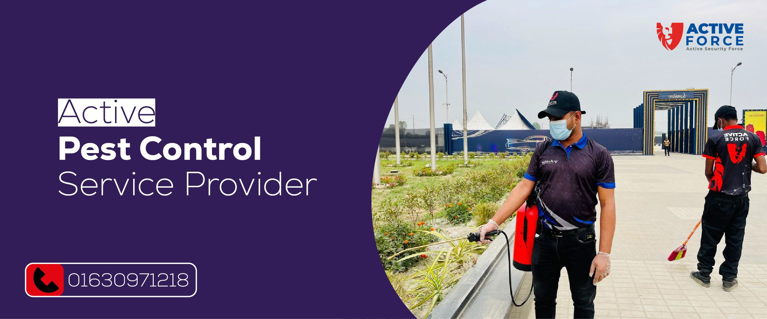 Monthly Pest Control Service for a Pest-Free Home | 01630971218